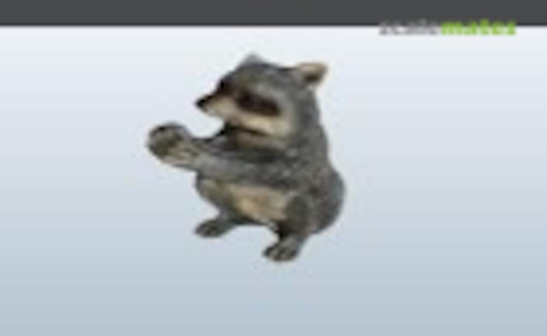 Raccoon Models Logo