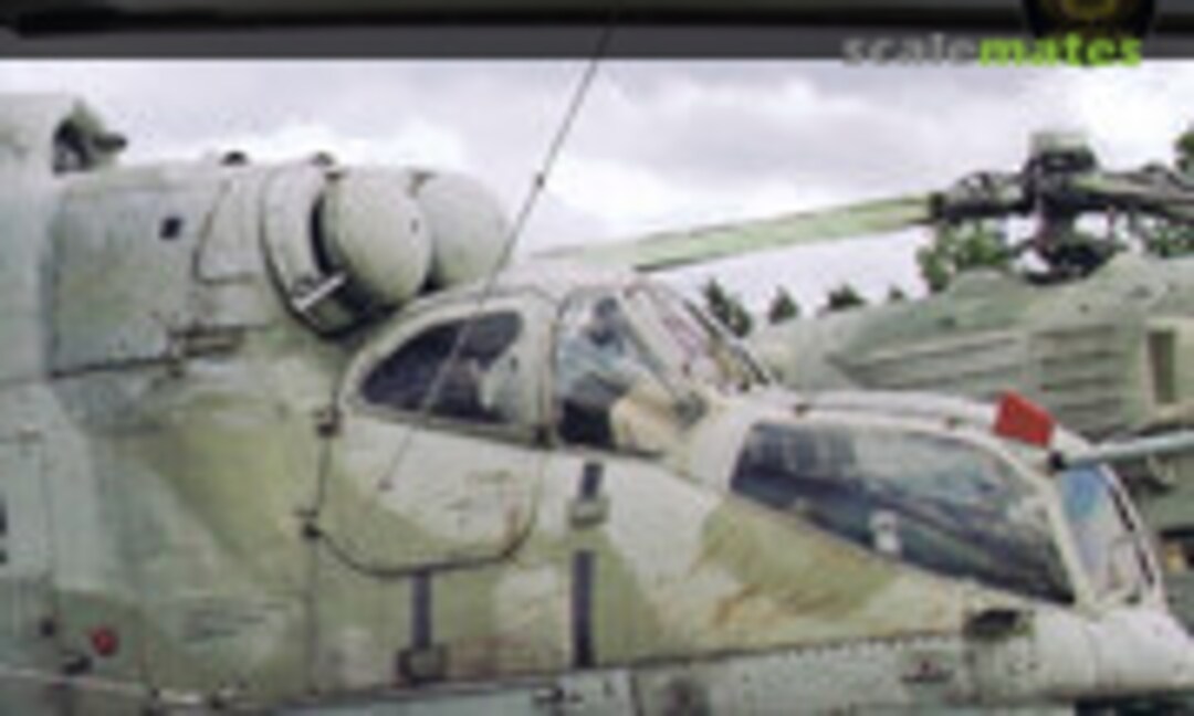 (The Weathering Aircraft 23 - Worn Warriors)