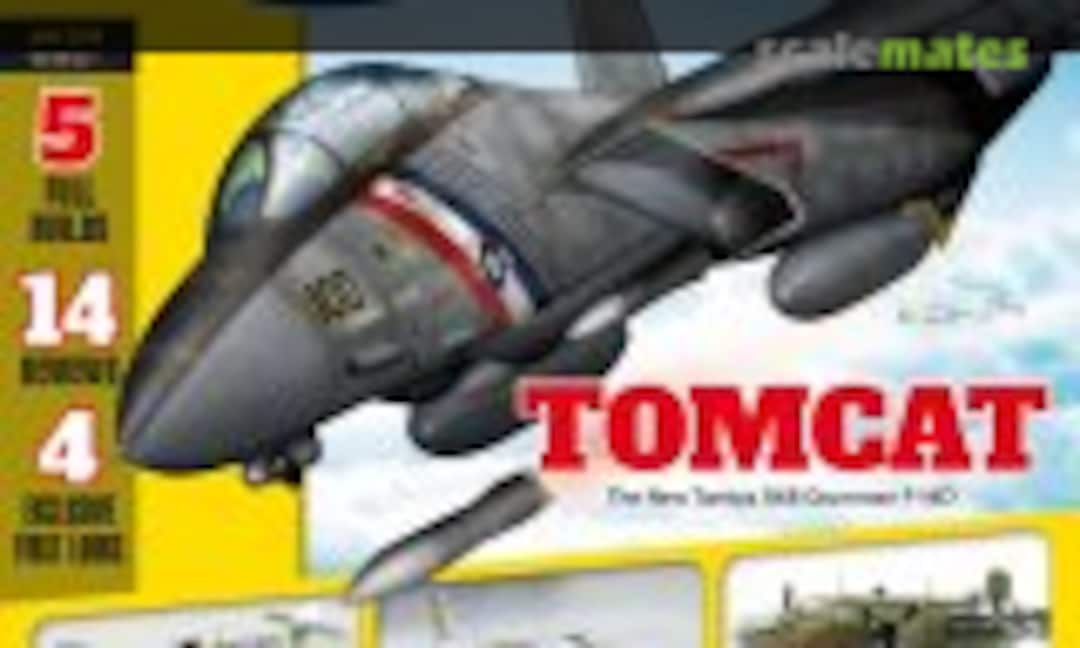 (Scale Aviation Modeller International Volume 25 Issue 1)