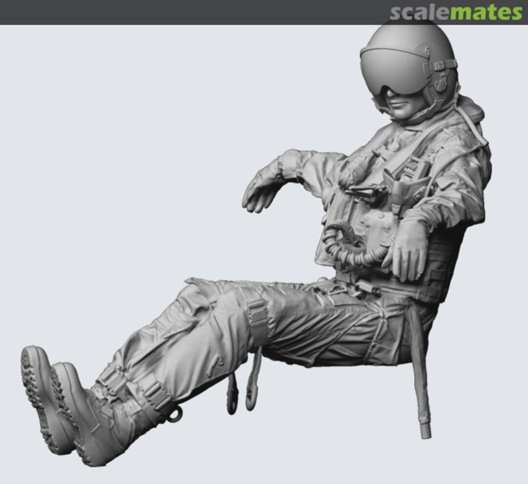Boxart US Navy F-14 pilot, 2000-2006 era, sitting 2 480235 REEDOAK Boxart US Navy F-14 pilot, 2000-2006 era, sitting 2 480235 REEDOAK