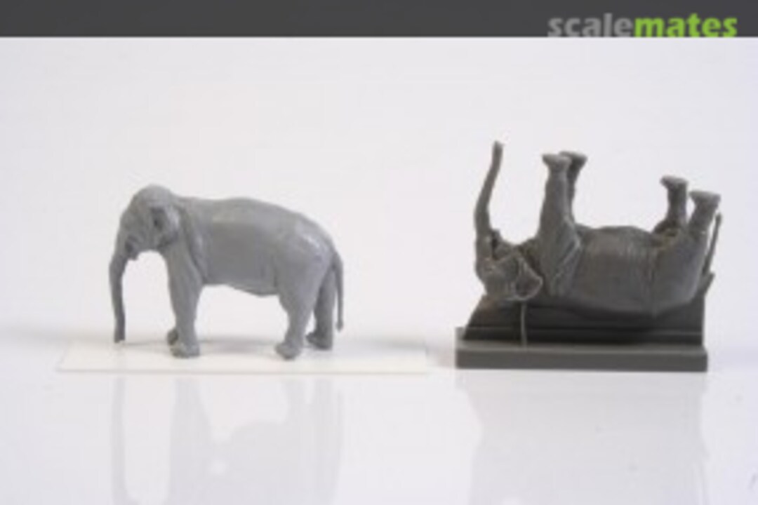 Boxart Asian Elephant (1 figure) F72328 CMK Boxart Asian Elephant (1 figure) F72328 CMK