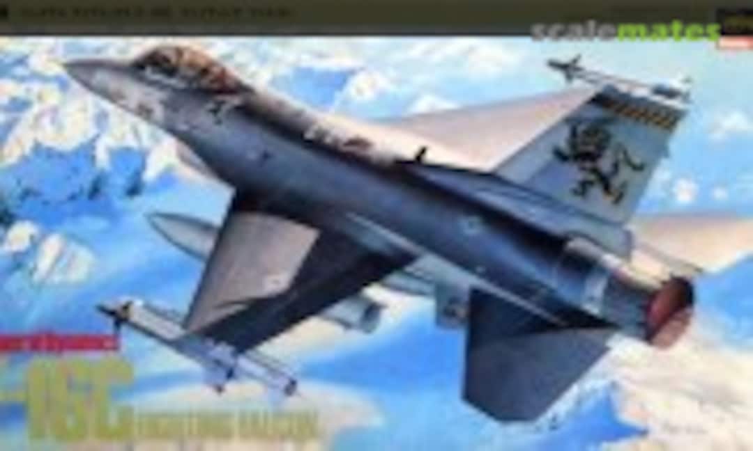 1:48 F-16C Fighting Falcon (Hasegawa V3)