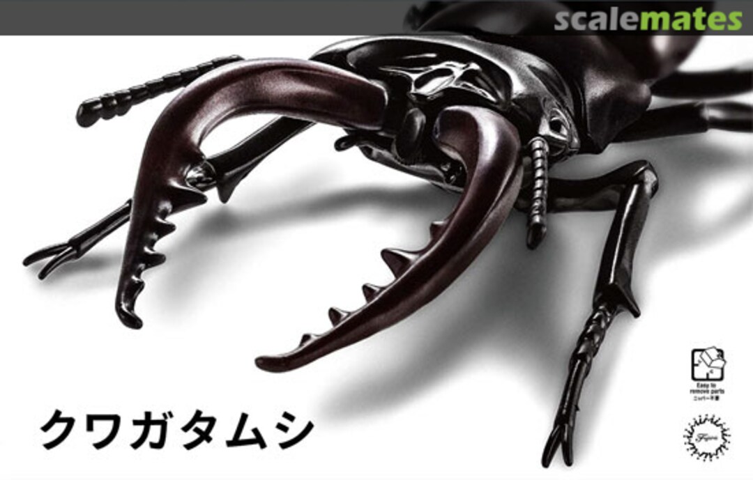 Boxart Stag Beetle 17073 Fujimi Boxart Stag Beetle 17073 Fujimi