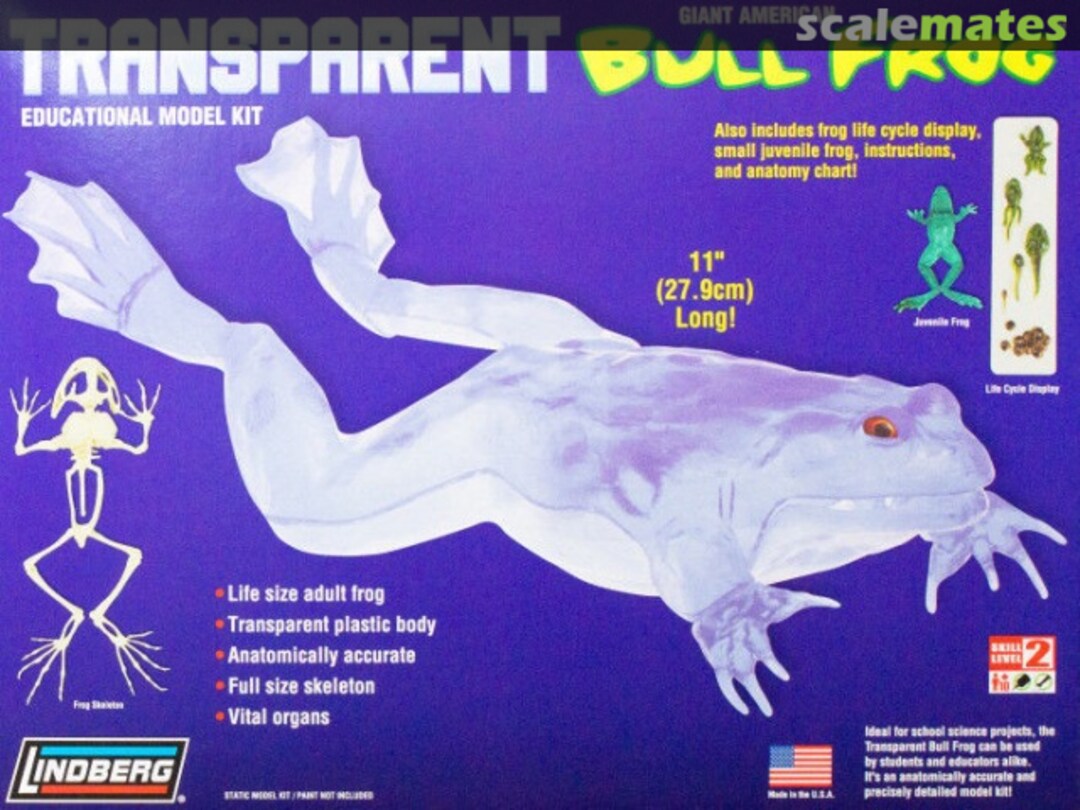 Boxart Giant American Bull frog 76012 Lindberg Boxart Giant American Bull frog 76012 Lindberg
