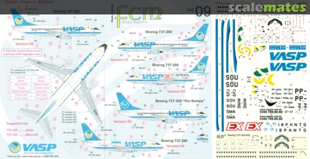 Boxart Lineas Aereas: VASP 737-200 & -300 (incl. Cargo titles) 144-09 FCM