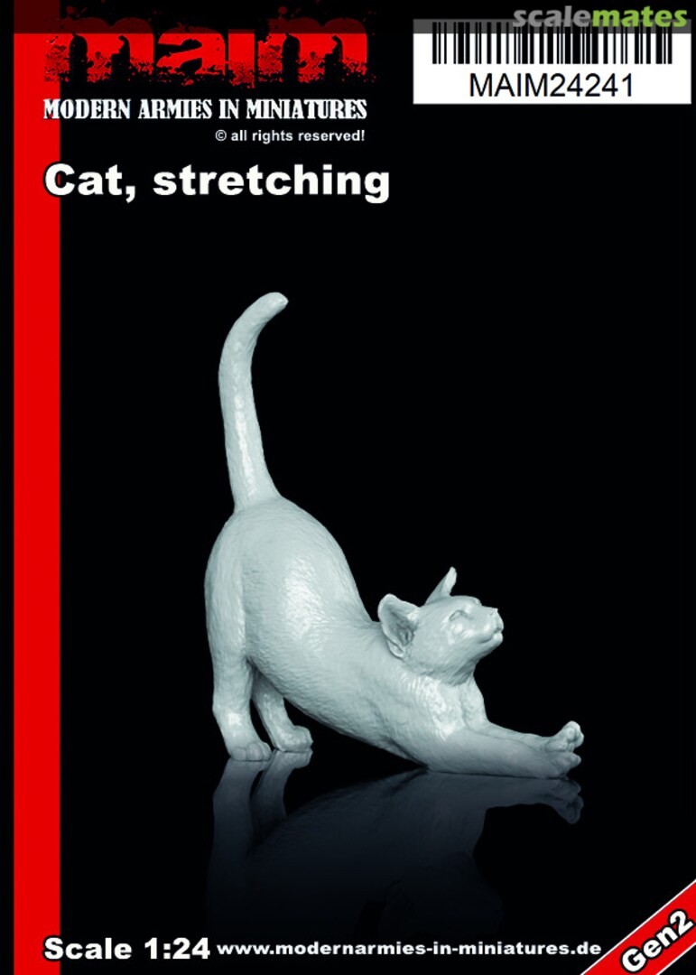Boxart Cat MAIM24241 MAiM Boxart Cat MAIM24241 MAiM