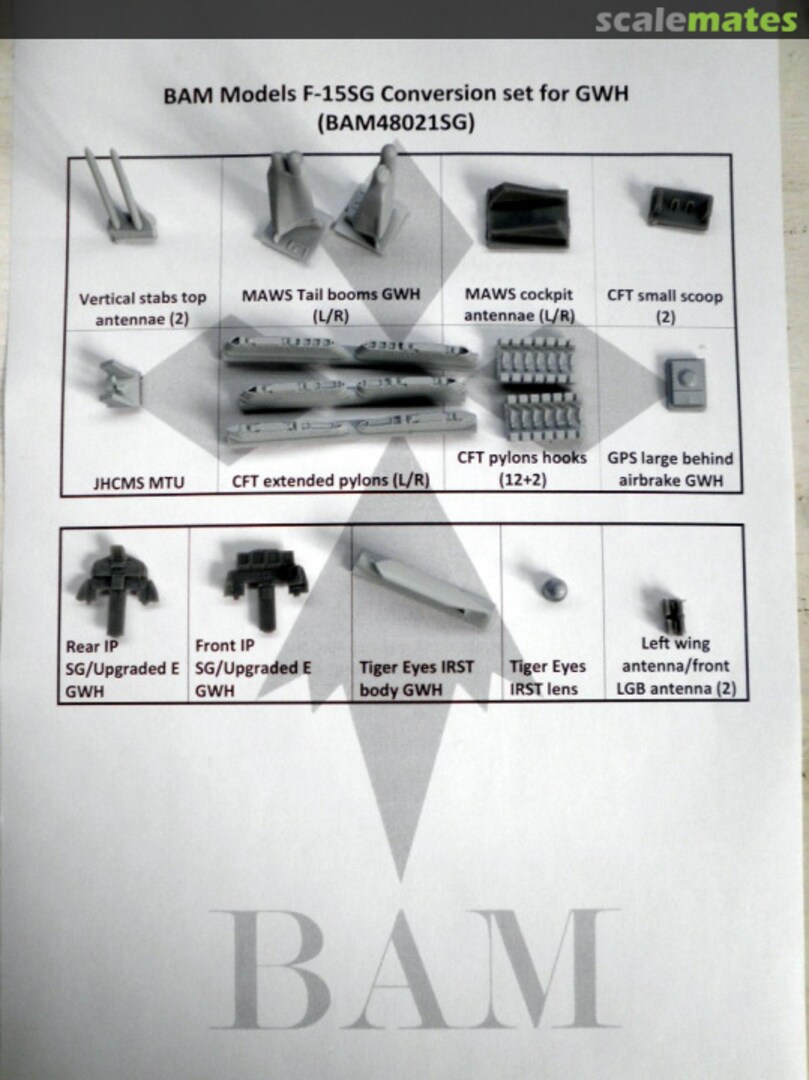 Boxart F-15 “The next Generation” for GWH - SG BAM48021SG BAM Models