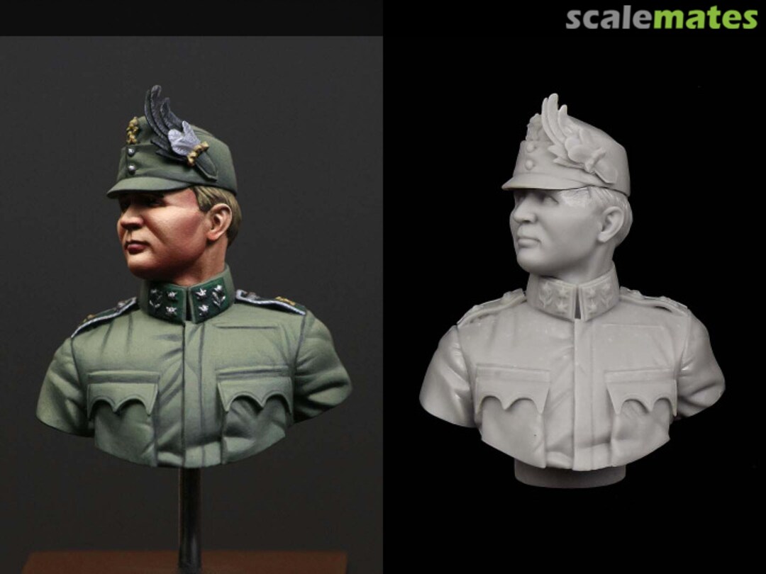 Boxart Austro-Hungarian Mountain Troop Officer WW 1 - K.K. Landwehr Kaiserschutzen Regiment Nr.11 - Bozen V16006 Vice75 Boxart Austro-Hungarian Mountain Troop Officer WW 1 - K.K. Landwehr Kaiserschutzen Regiment Nr.11 - Bozen V16006 Vice75