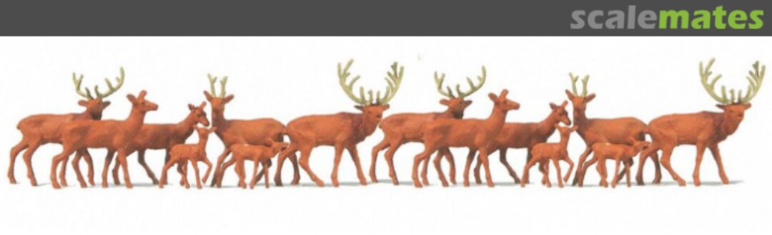 Boxart Red deer 2410 Merten Boxart Red deer 2410 Merten
