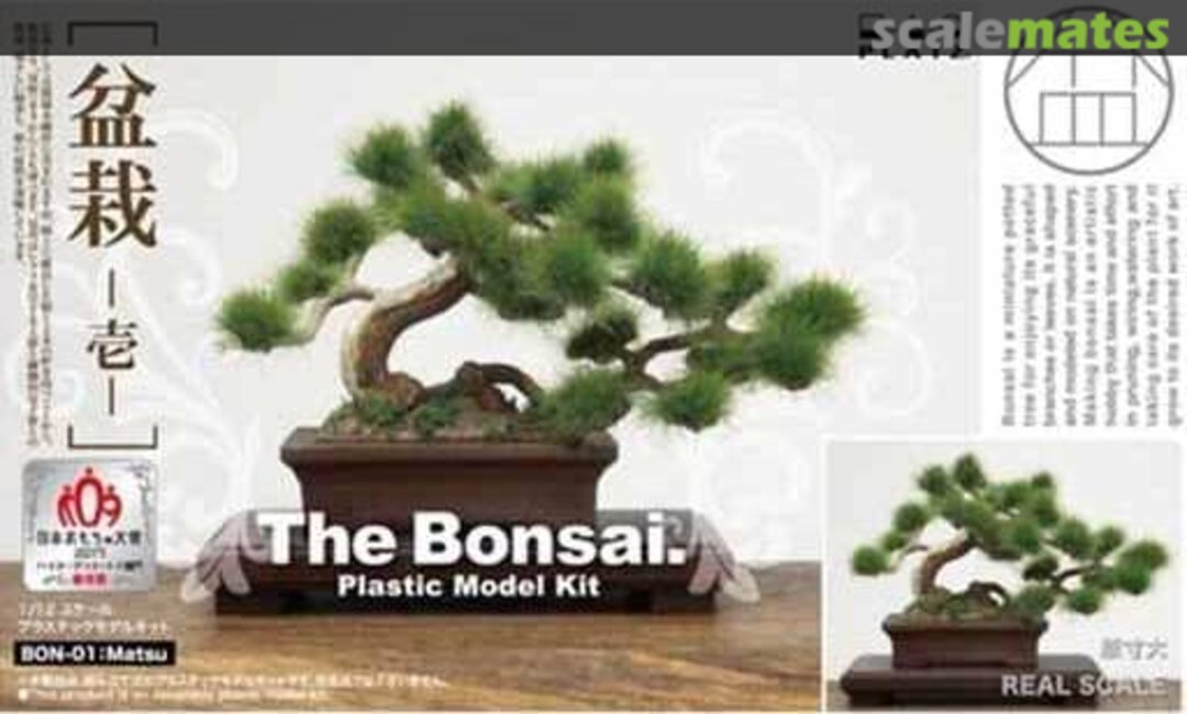 Boxart The Bonsai (1) Matsu BON-01SP Platz Boxart The Bonsai (1) Matsu BON-01SP Platz
