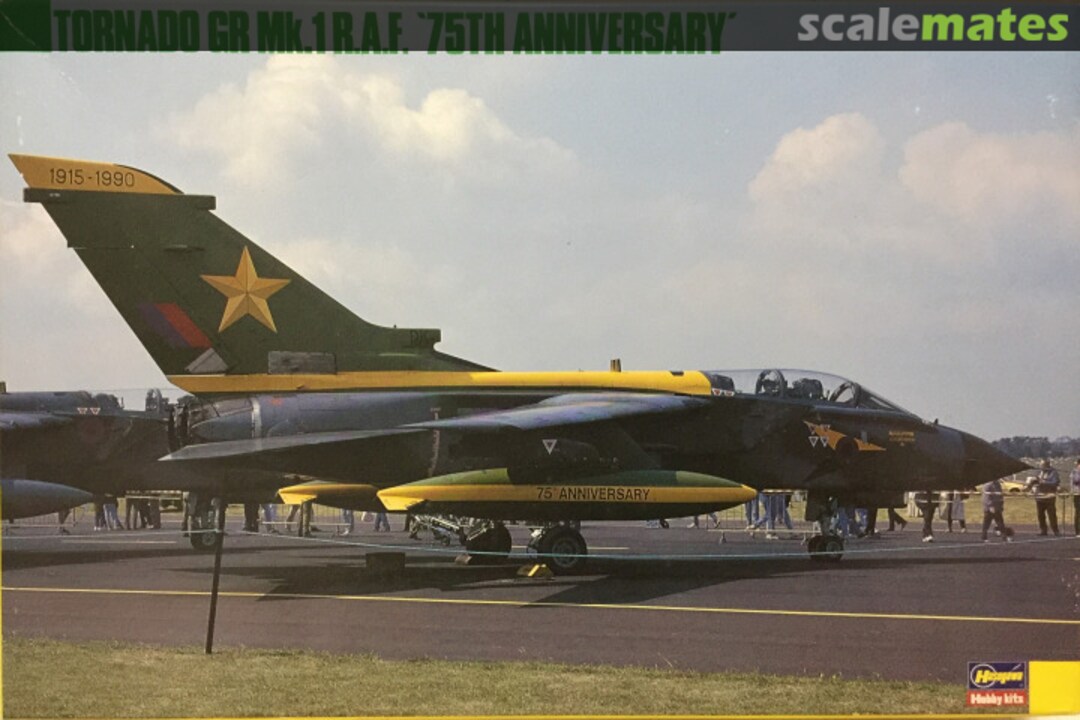 Boxart Tornado GR Mk.1 RAF SP36 Hasegawa Boxart Tornado GR Mk.1 RAF SP36 Hasegawa