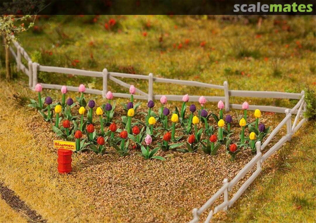 Boxart 48 Tulips 181262 Faller