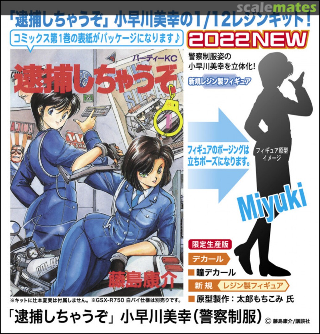 Boxart You`re Under Arrest SP532 Hasegawa Boxart You`re Under Arrest SP532 Hasegawa