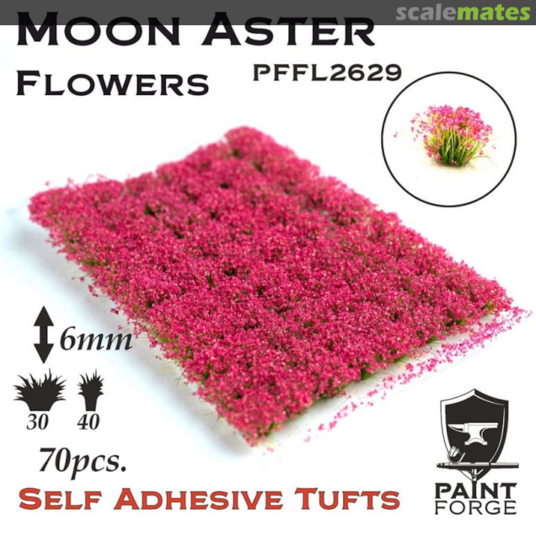 Boxart Moon Aster Flowers 6mm (70szt) PFFL2629 Paint Forge
