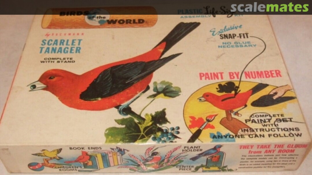 Boxart SACARLET TANAGER 900x-100 Bachmann Boxart SACARLET TANAGER 900x-100 Bachmann