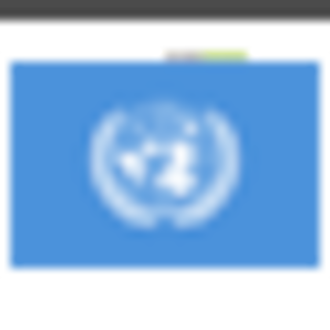 Worldwide Service (UN)