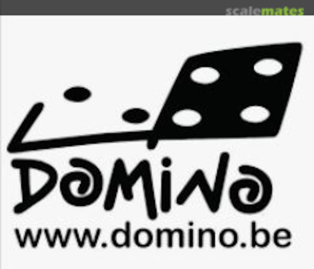 Domino Model