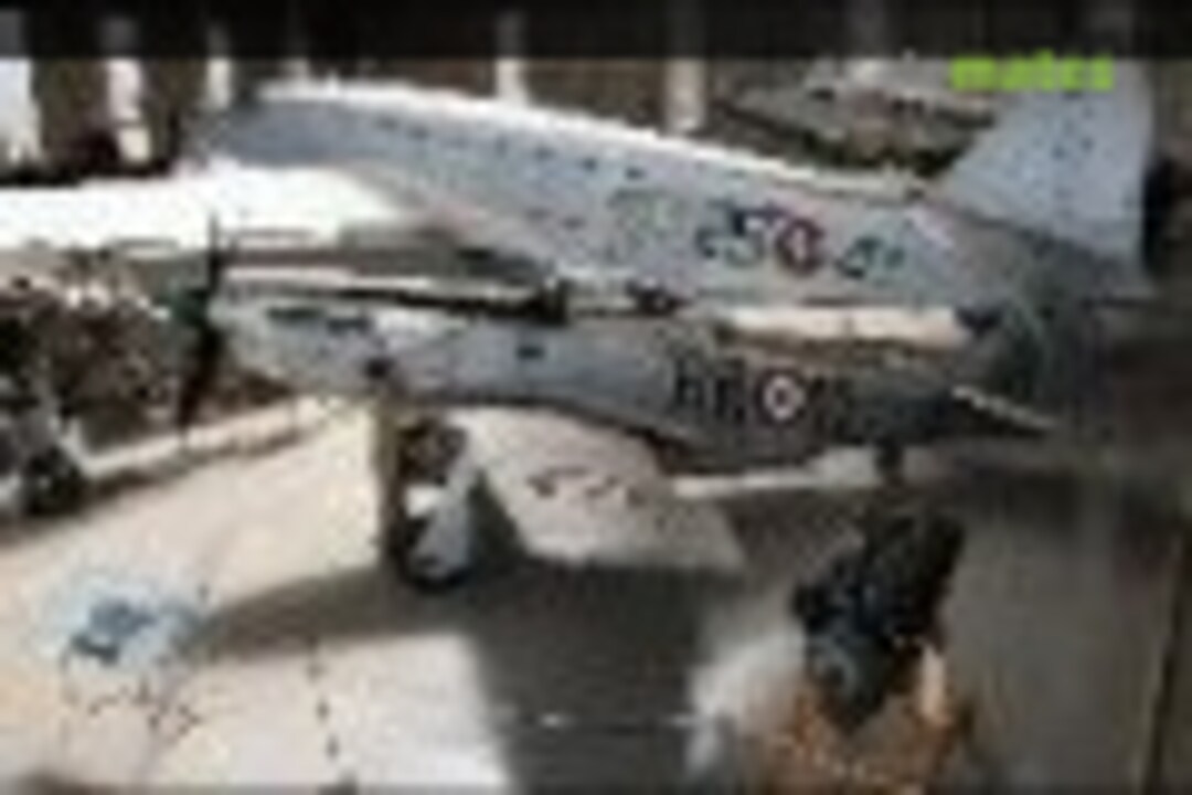 P-51D-25-NA (RR-11) Mustang