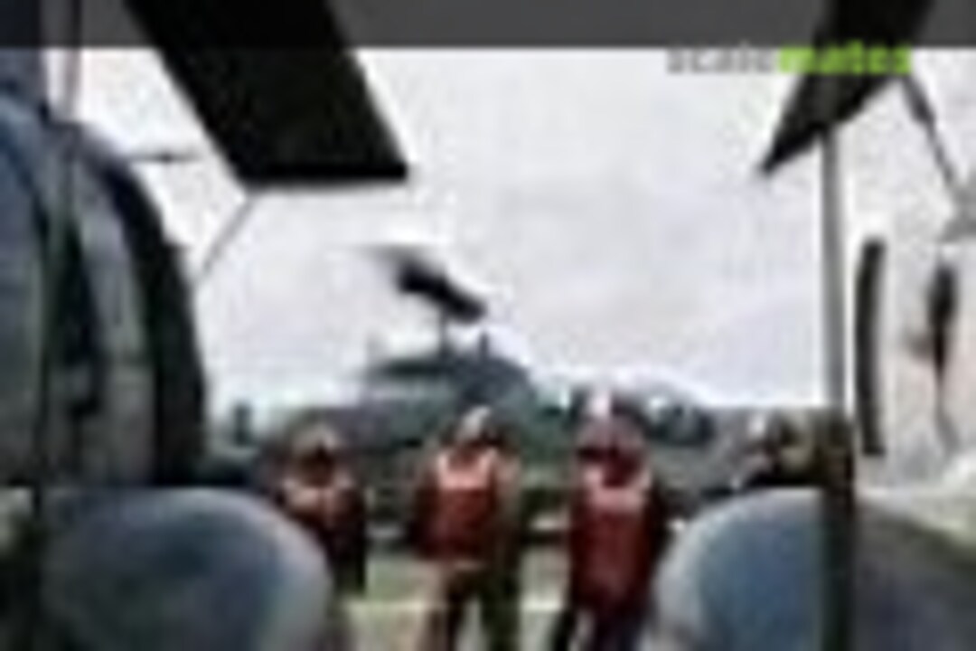 Boeing CH-46D/E (1)