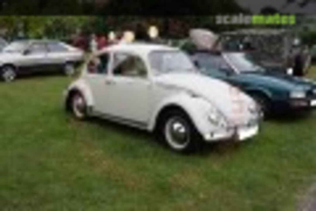 VW Käfer 1965 (43) Scalenews