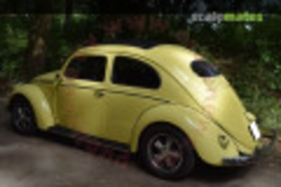 VW Käfer Ovali (36) Scalenews